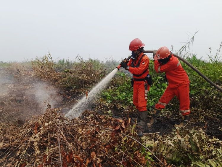 Titik Panas Naik 128 dalam Sehari, Menhut Kunci Empat Medan Api di Tanjung Puting